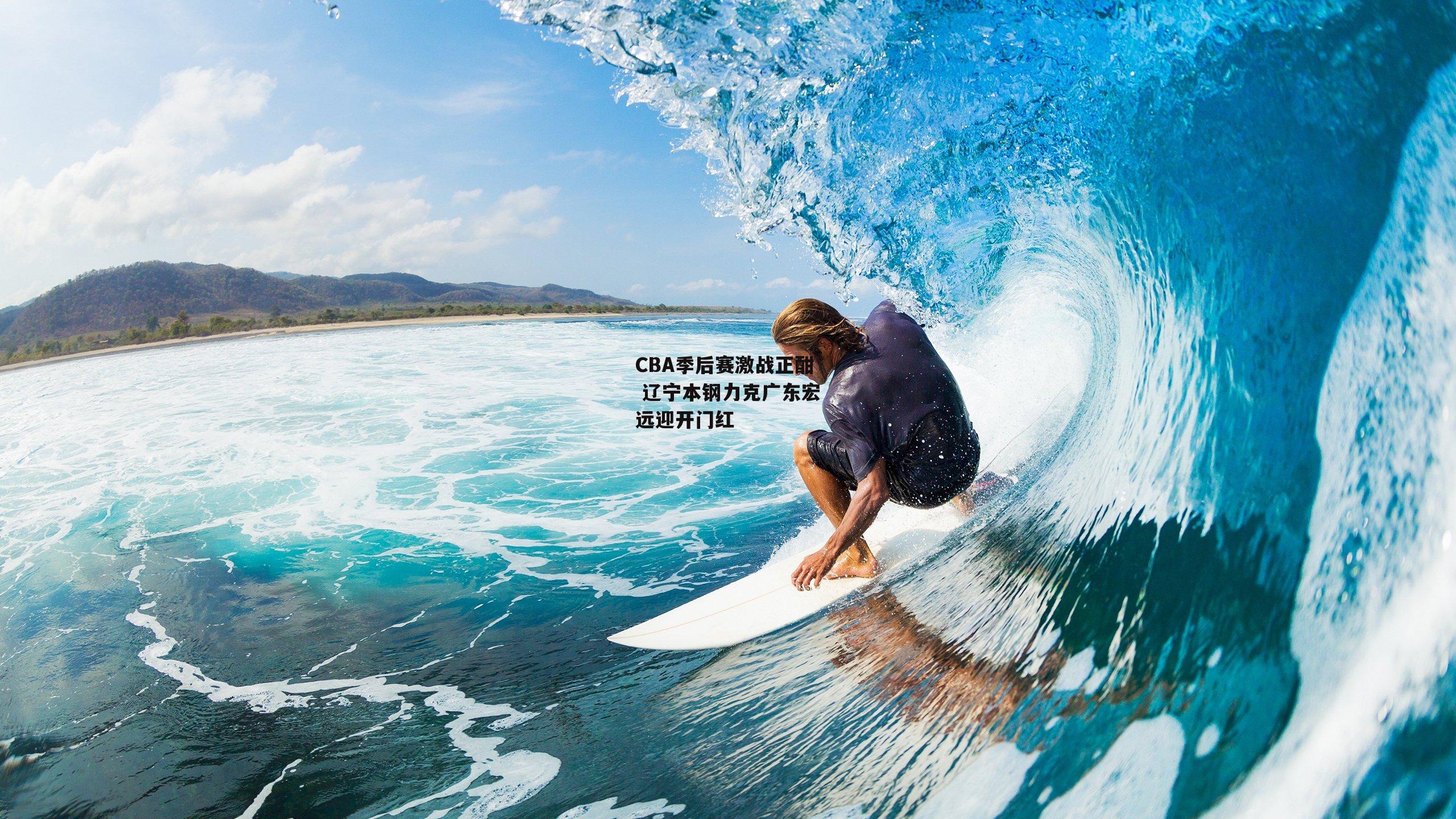 CBA季后赛激战正酣 辽宁本钢力克广东宏远迎开门红